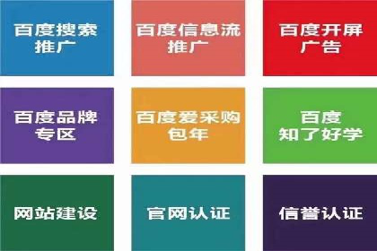案例研究：SEM优化助力品牌知名度