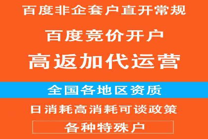 某电商平台的SEM推广策略全解析